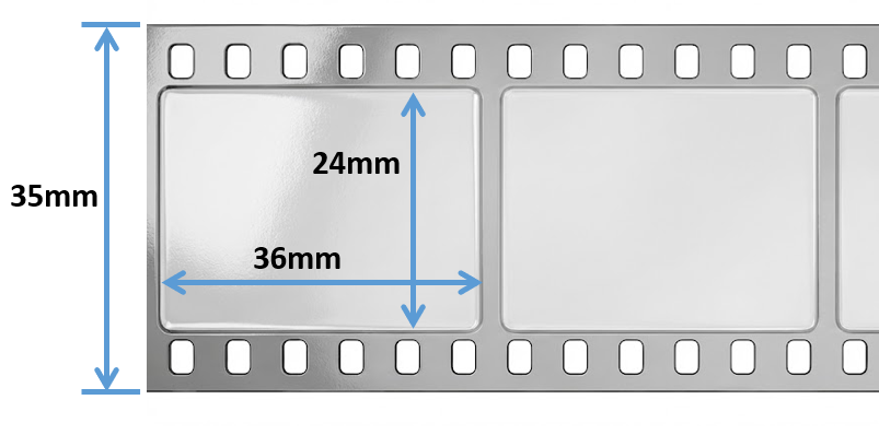 35mm判換算の由来を説明するための、フィルムの構造図。フィルム全体の幅が35mmであり、写真が記録される範囲（36mm×24mm）とは異なることを示している。