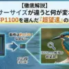 フルサイズ一眼とNikon P1100のセンサーサイズを比較し、小さいセンサーが野鳥撮影の「超望遠」に有利な理由を表現したアイキャッチ画像。