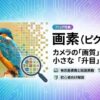 デジタル写真を構成する小さな「画素（ピクセル）」を虫眼鏡で拡大して仕組みを説明している初心者向けのイメージ画像