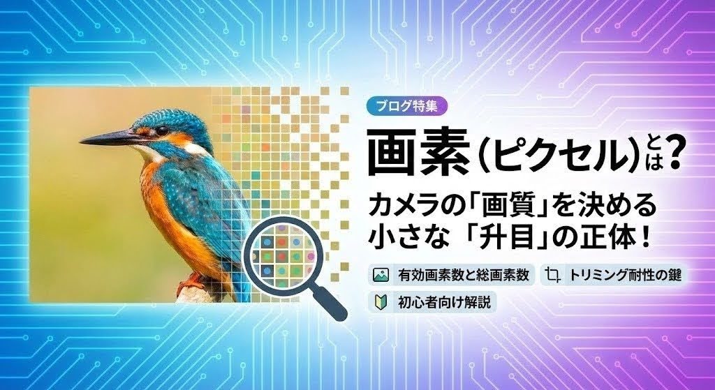 デジタル写真を構成する小さな「画素（ピクセル）」を虫眼鏡で拡大して仕組みを説明している初心者向けのイメージ画像