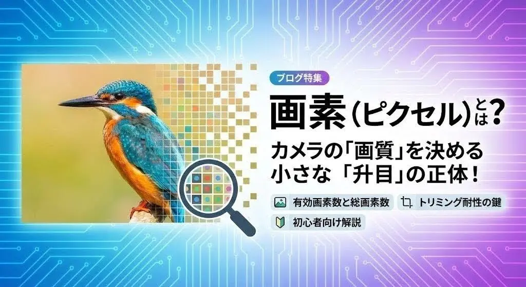 デジタル写真を構成する小さな「画素（ピクセル）」を虫眼鏡で拡大して仕組みを説明している初心者向けのイメージ画像