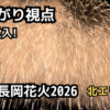 長岡花火大会2026の体験レポート：大渋滞を回避するリアルな実体験と駐車場・宿泊戦略